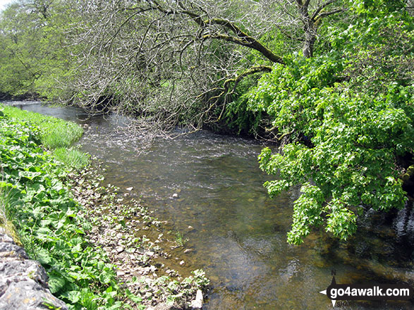 Walk s111 Dove Dale, Ilam, Castern Hall and Stanshope from Milldale - The River Manifold