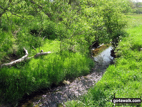 Walk s115 Brund from Hulme End - Stream near Hulme End