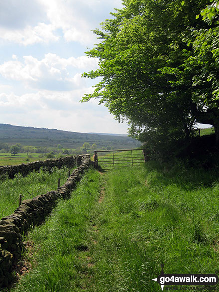 Walk s244 The Manifold Way, Thor's Cave  and Warslow from Grindon - The Staffordshire Countryside near Hulme End