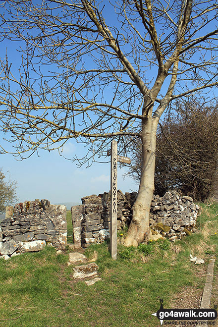 Walk d225 Sheen, The Manifold Valley, Longnor and Pilsbury Castle Hills from Hartington - Signed stone squeezer stile north of Hartington