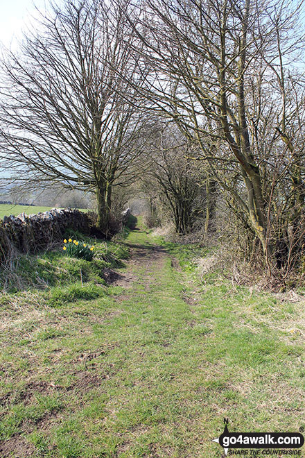 Walk d225 Sheen, The Manifold Valley, Longnor and Pilsbury Castle Hills from Hartington - The path along Madge Dale