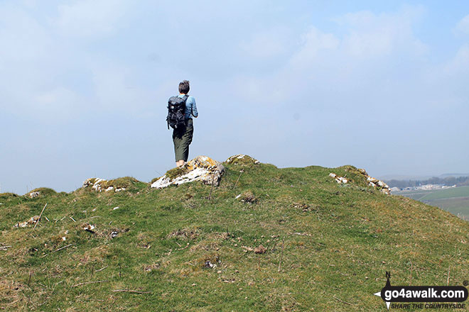 Walk d312 Carder Low, The High Peak Trail and The Tissington Trail from Hartington - My wife on the summit of  Carder Low