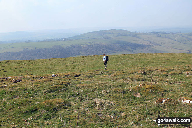 Walk d312 Carder Low, The High Peak Trail and The Tissington Trail from Hartington - My wife descending Carder Low