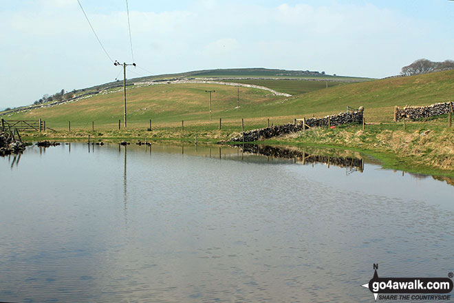 Walk d259 Hurdlow, High Wheeldon, Crowdecote, Upper Dove Dale and Pilsbury Castle Hills from Monyash - Small pool west of Vincent House