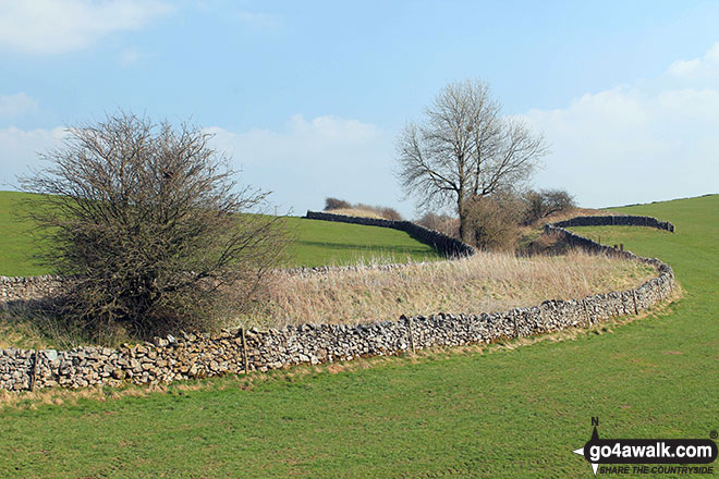 Walk d259 Hurdlow, High Wheeldon, Crowdecote, Upper Dove Dale and Pilsbury Castle Hills from Monyash - High Peak Trail near Parsley Hay