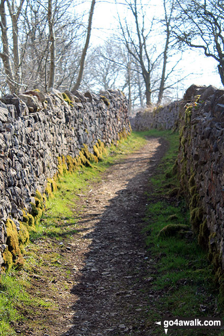 Walk d225 Sheen, The Manifold Valley, Longnor and Pilsbury Castle Hills from Hartington - Green lane near Heathcote