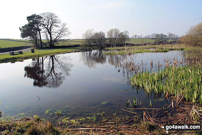 Walk d312 Carder Low, The High Peak Trail and The Tissington Trail from Hartington - Heathcote Mere