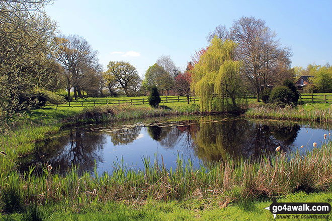 Small Pool at Moss End 