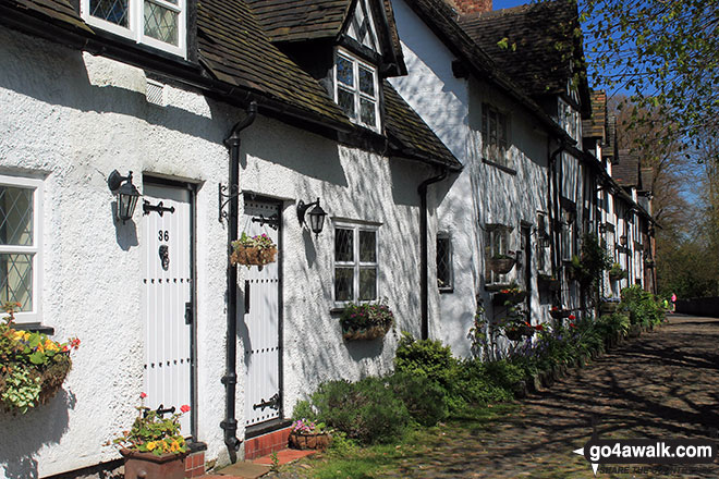 Walk ch161 Great Budworth from Arley Hall - Great Budworth