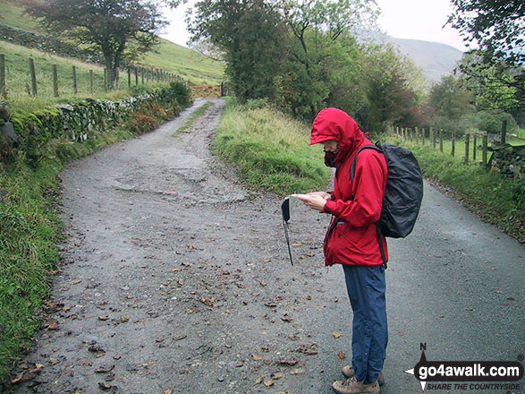 Walk c461 Great Sca Fell and Knott from Over Water - Checking the route near Orthwaite