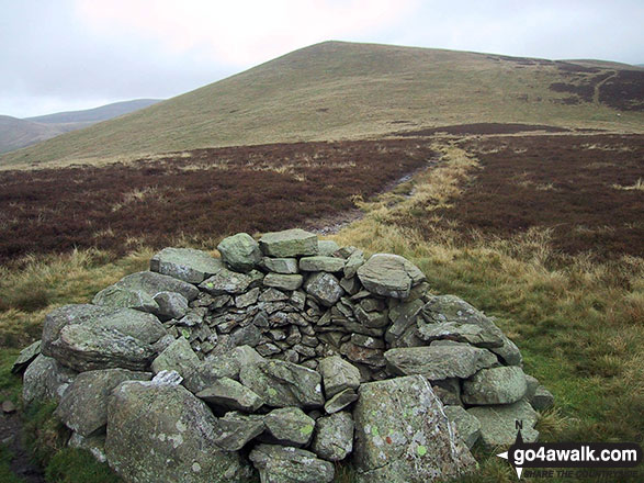 Walk c163 Great Sca Fell from Over Water - Grouse Butt on Orthwaite Bank on the route up Great Cockup