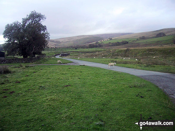 Walk c461 Great Sca Fell and Knott from Over Water - The path back to Orthwaite