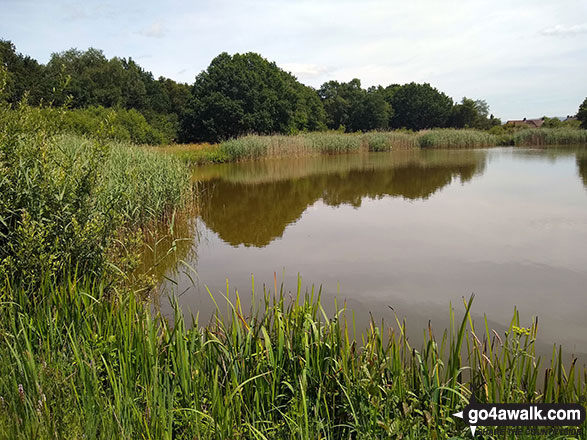 Walk ch123 Knolls Green and Lindow Moss from Lindow Common, Wilmslow - Black Lake on Lindow Common