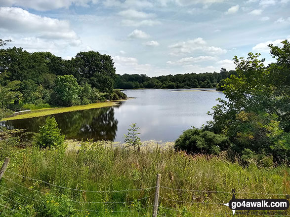 Walk ch123 Knolls Green and Lindow Moss from Lindow Common, Wilmslow - Rossmere