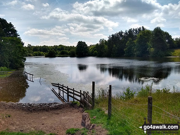 Walk ch123 Knolls Green and Lindow Moss from Lindow Common, Wilmslow - Rossmere