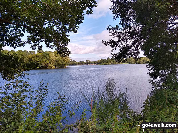 Walk ch123 Knolls Green and Lindow Moss from Lindow Common, Wilmslow - Redes Mere