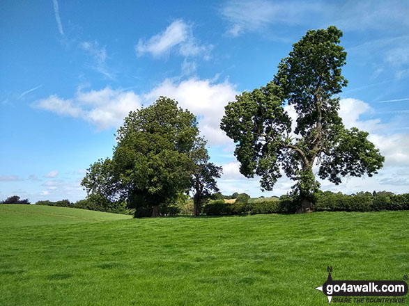 The Cheshire countryside near Hills Green Farm 