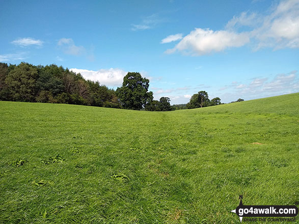 The Cheshire countryside near Hazelwall Farm 