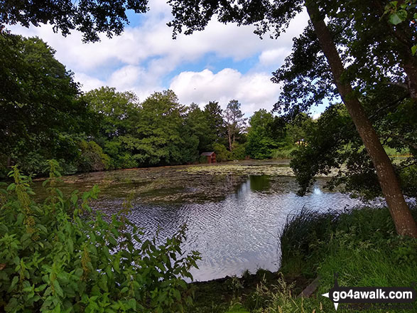 Walk ch141 Siddington Heath from Redes Mere - Capesthorne Hall