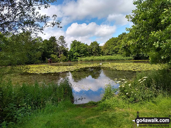 Walk ch141 Siddington Heath from Redes Mere - Capesthorne Hall