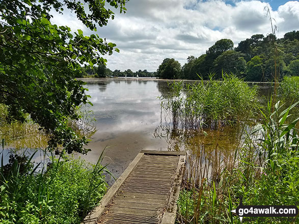 Walk ch141 Siddington Heath from Redes Mere - Redes Mere