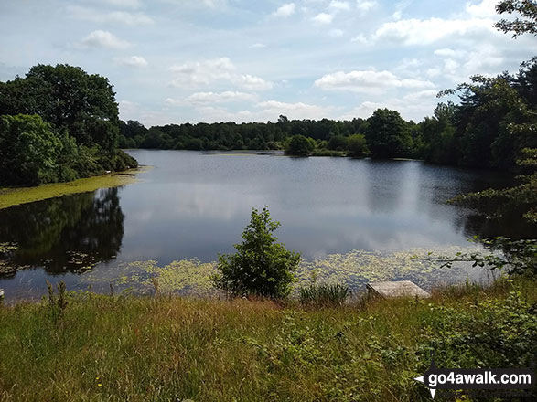 Walk ch123 Knolls Green and Lindow Moss from Lindow Common, Wilmslow - Rossmere