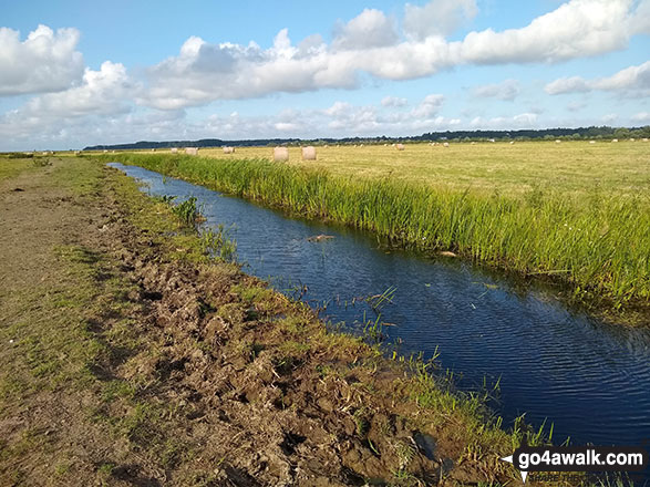 Walk nf108 Lower Thurlton from Haddiscoe - Thorpe and Haddiscoe Fleet, Haddiscoe Marshes