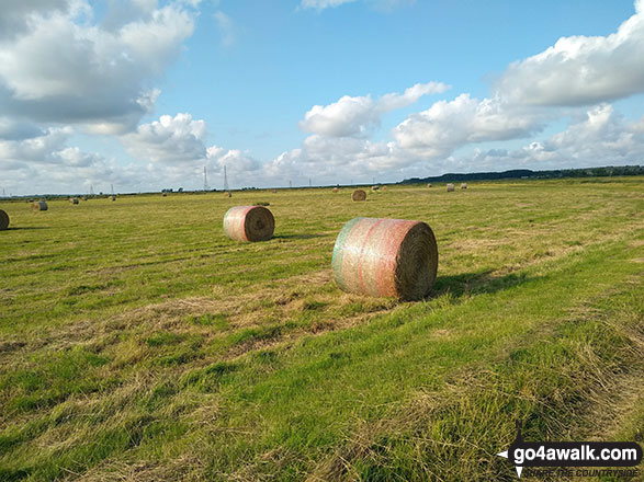 Walk nf108 Lower Thurlton from Haddiscoe - Cylindrical Hay Bales on Thorpe Marshes