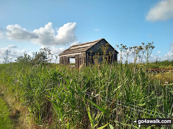 Walk nf108 Lower Thurlton from Haddiscoe - Railway lineside hut from the track near Haddiscoe Cut Bridge