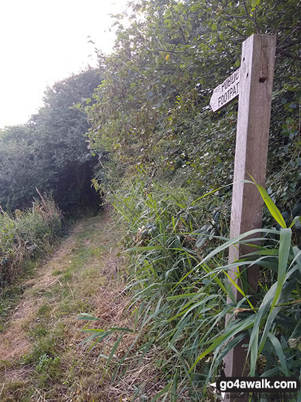 Walk nf108 Lower Thurlton from Haddiscoe - Finger post near Marsh Farm