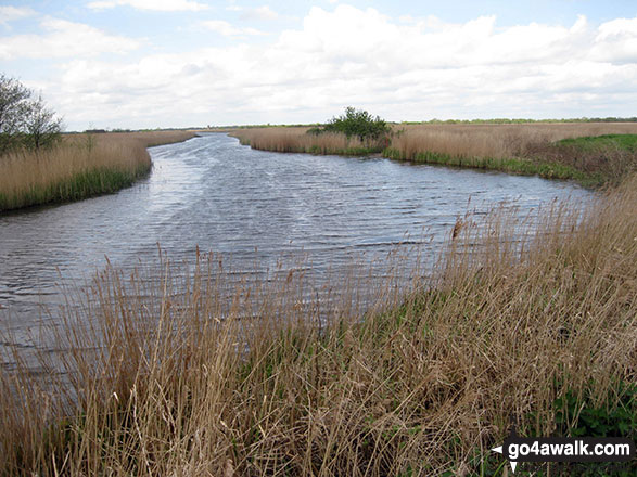 Walk nf145 Horsey from Winterton-on-Sea - Martham Broad