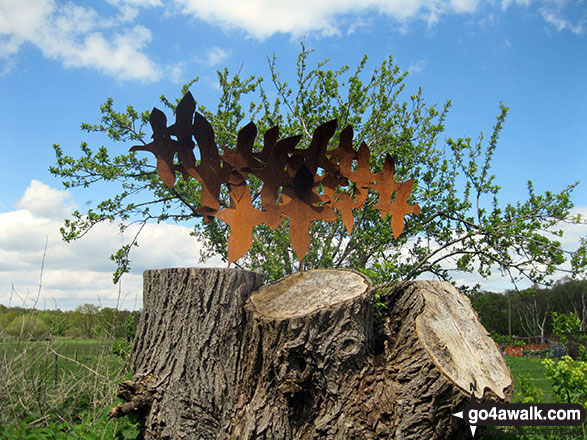 Walk nf145 Horsey from Winterton-on-Sea - Sign near Winterton-on-Sea