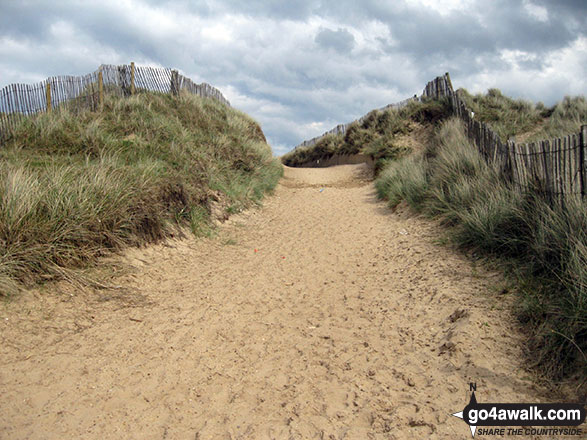 Walk nf145 Horsey from Winterton-on-Sea - Path through the dunes in Winterton Dunes National Nature Reserve