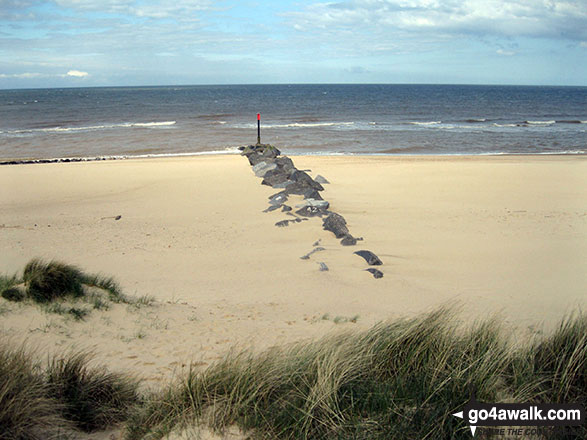 Walk nf145 Horsey from Winterton-on-Sea - Winterton Dunes National Nature Reserve