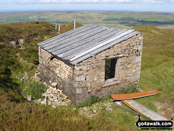 Semi-derelict hut on Killhope Law