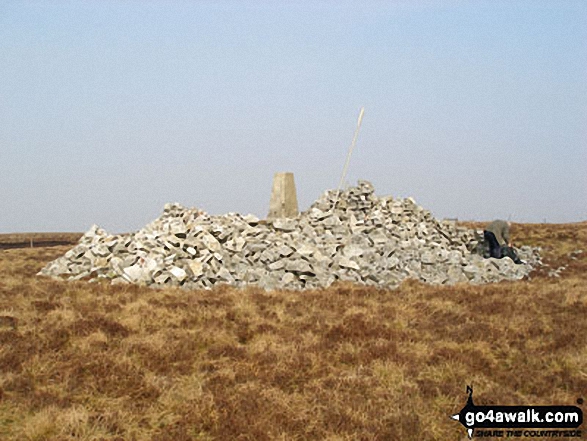 Walk c348 Cold Fell Pike (Geltsdale) from Clesketts - Cold Fell Pike (Geltsdale) summit cairn and trig point