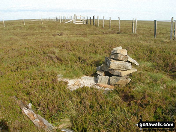 Middlehope Moor summit cairn 