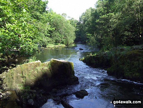 Walk c165 Little Langdale from Elterwater - The River Brathay near Skelwith Bridge