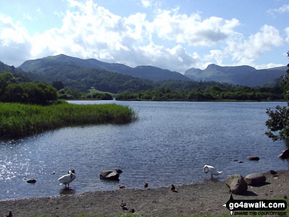 Walk c238 Lingmoor Fell and Great Langdale from Elterwater - Elterwater