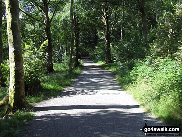 Walk c165 Little Langdale from Elterwater - Cumbria Way near Elterwater