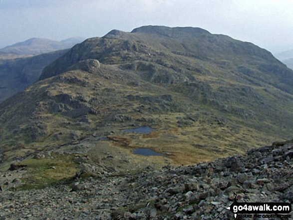 Walk c129 Crinkle Crags and Bow Fell from The Old Dungeon Ghyll, Great Langdale - Three Tarns (or two tarns and a puddle) with Shelter Crags, Gunson Knott and Crinkle Crags beyond from Bow Fell (Bowfell)