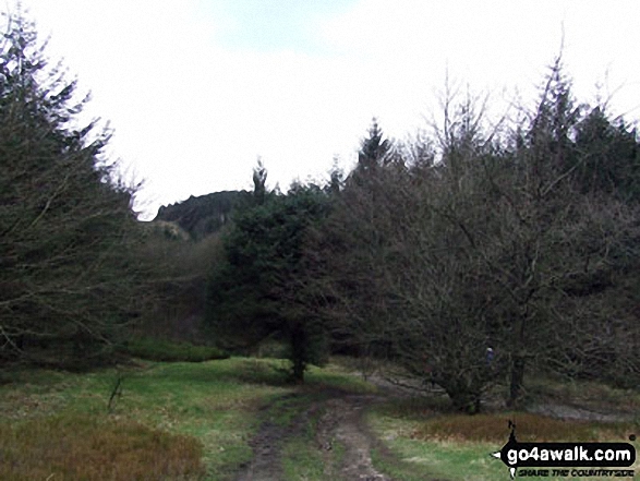 Walk ch101 Shutlingsloe and Wildboarclough from Ridgegate Reservoir - In Macclesfield Forest