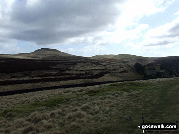 Walk ch226 Shutlingsloe from Wildboarclough - Shutlingsloe from the edge of Macclesfield Forest