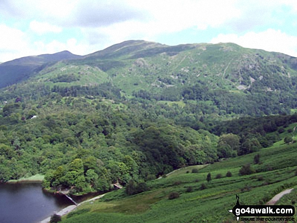 Walk c232 Loughrigg Fell from Ambleside - Heron Pike, Rydal Fell, Great Rigg and Fairfield from Loughrigg Terrace