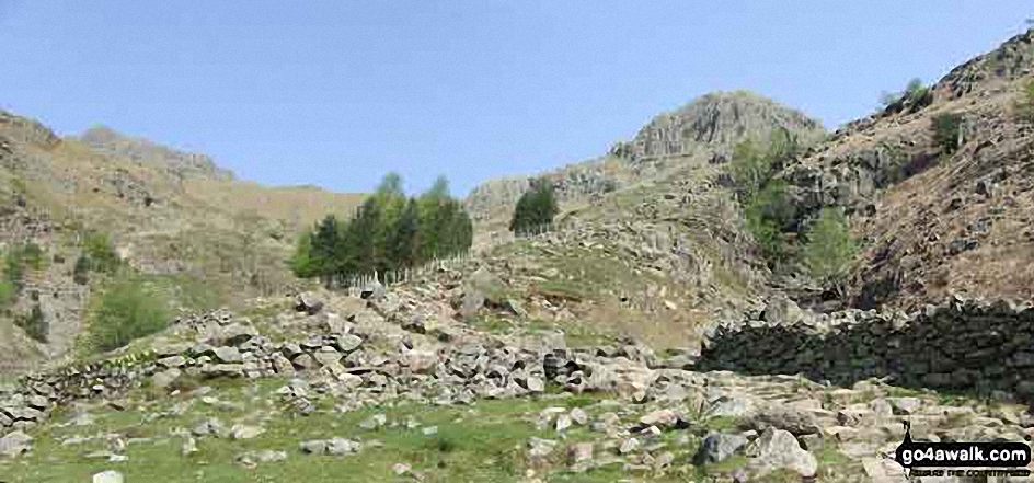 Walk c208 Harrison Stickle and High Raise from The New Dungeon Ghyll, Great Langdale - *Starting up Stickle Ghyll from Great Langdale with Harrison Stickle (The Langdale Pikes) (far left)