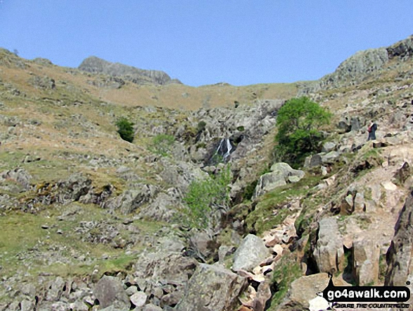 Walk c208 Harrison Stickle and High Raise from The New Dungeon Ghyll, Great Langdale - Climbing up Stickle Ghyll towards Harrison Stickle (The Langdale Pikes) (left) from Great Langdale