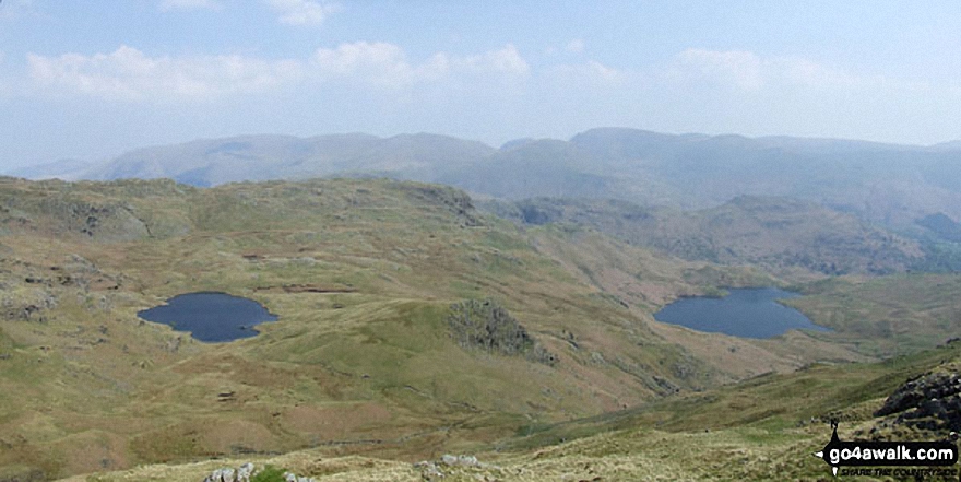 Walk c208 Harrison Stickle and High Raise from The New Dungeon Ghyll, Great Langdale - *Codale Tarn (left) and Easedale Tarn from the Blea Rigg ridge with Helvellyn (left), Seat Sandal (centre) and Fairfield (right) on the horizon