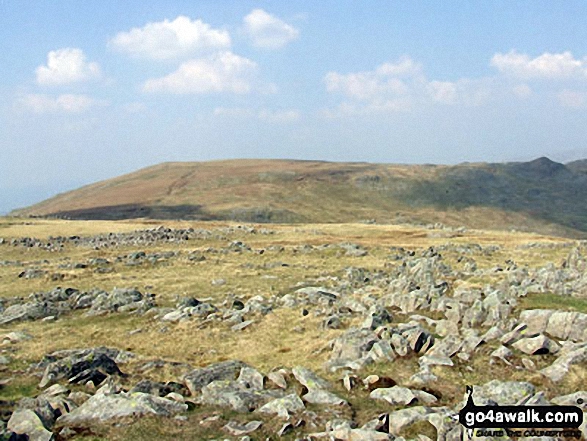 Walk c208 Harrison Stickle and High Raise from The New Dungeon Ghyll, Great Langdale - High Raise (Langdale) (left) and Seargent Man (dark pimple far right) from Thunacar Knott