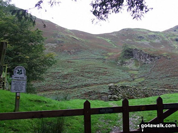 Green Burn at the foot of Steel Fell 