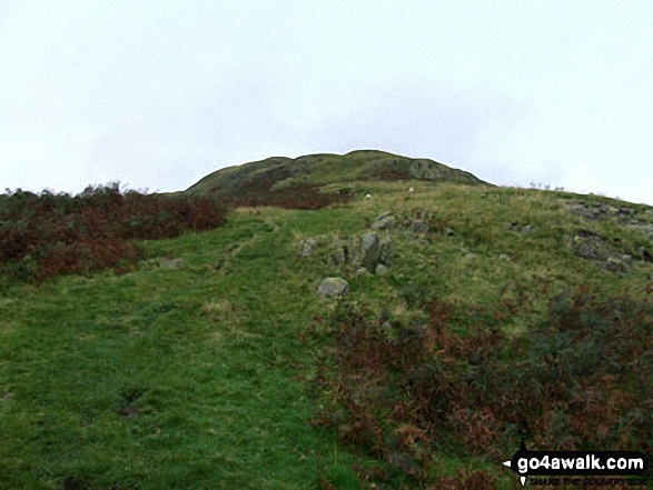 Walk c294 Steel Fell from Grasmere - Steel Fell from Contra Breast